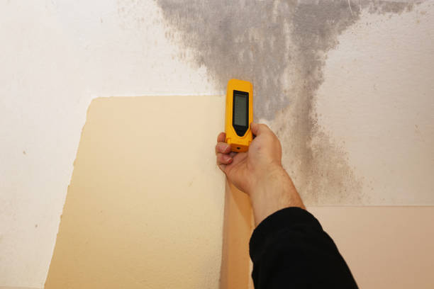 Best Mold Removal for HVAC Installations  in Mount Arlington, NJ