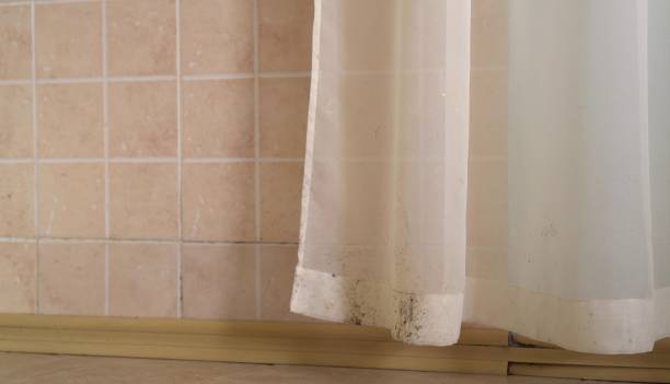 Mold Removal for HVAC Installations in Mount Arlington, NJ