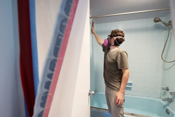 Best Asbestos and Lead Testing During Mold Inspection  in Mount Arlington, NJ