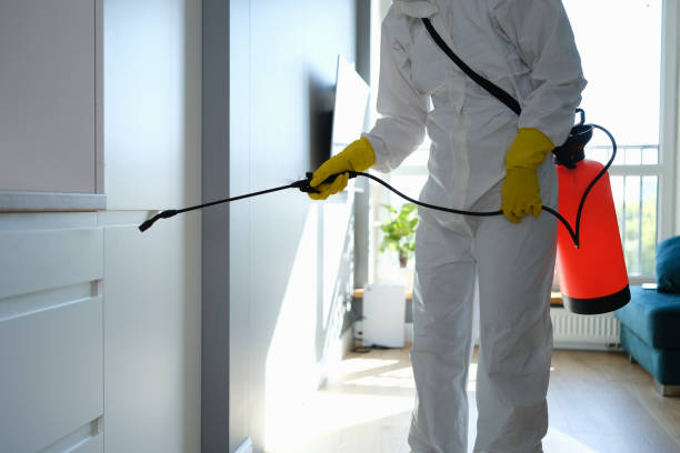 Best Comprehensive Air Testing for Mold Contaminants  in Mount Arlington, NJ