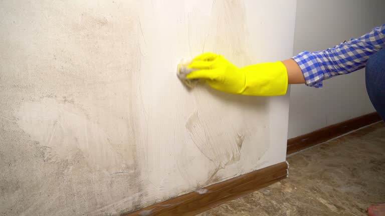 Best Mold Remediation for Healthcare Facilities  in Mount Arlington, NJ