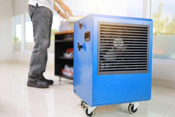 Best Mold Damage Restoration  in Mount Arlington, NJ