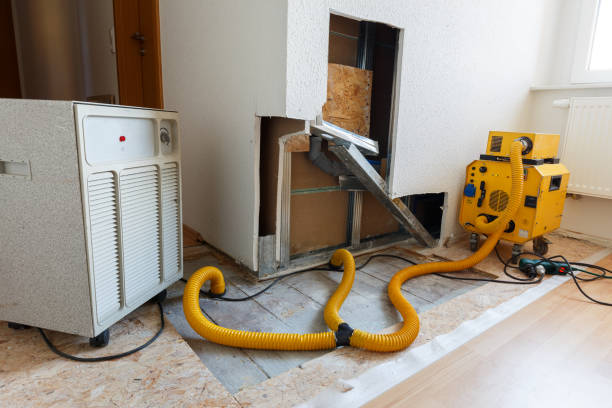 Best Mold Prevention Services  in Mount Arlington, NJ